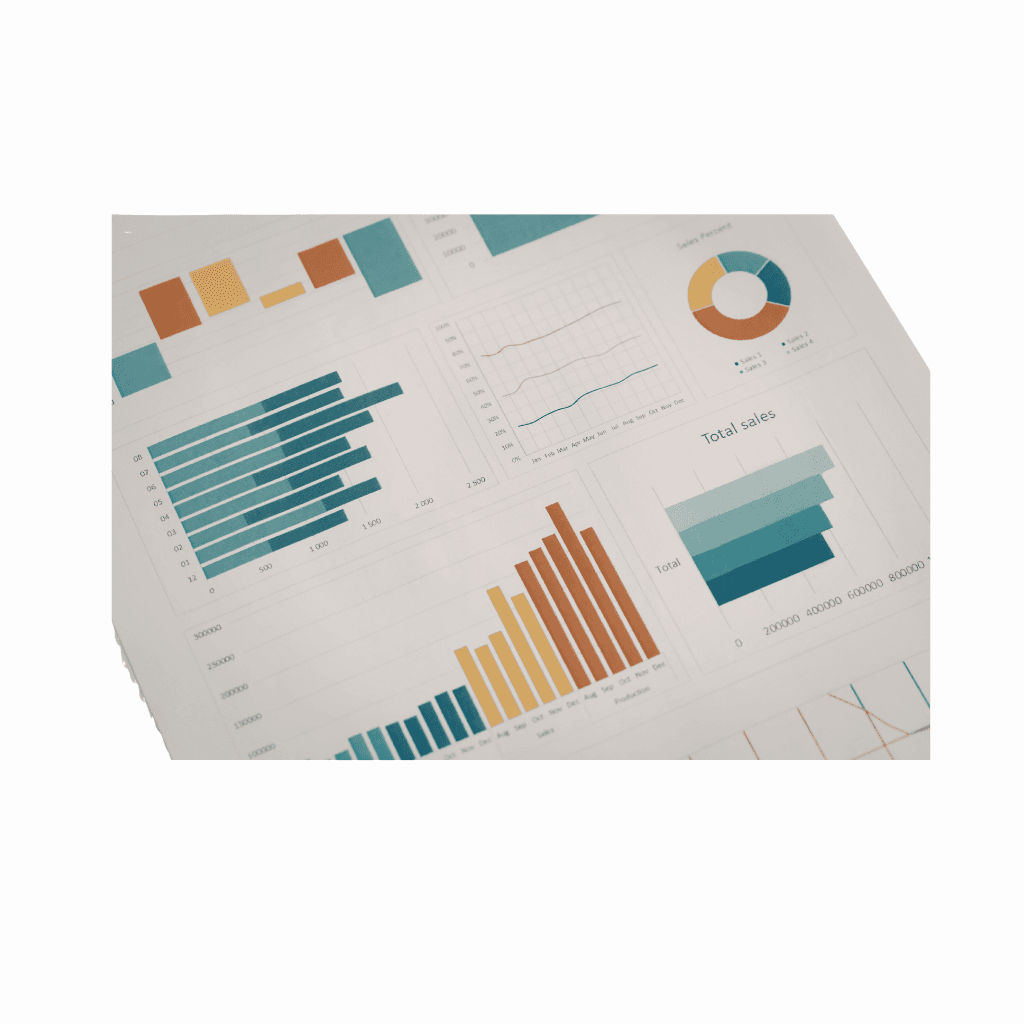 Data Analytics & Reporting - Anemos Australia